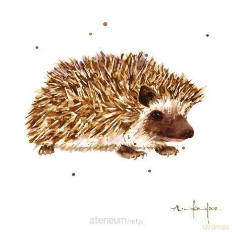 Karnet kwadrat mały z kopertą Prickly Paul