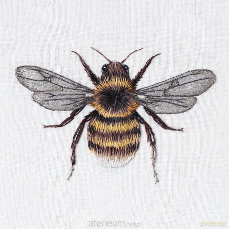 Karnet kwadrat z kopertą Bee