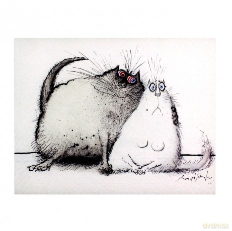 Karnet kwadrat z kopertą Cuddling cats searle