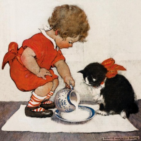 Karnet kwadrat z kopertą Teatime for Kitty
