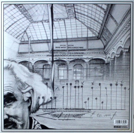 Holger Czukay: Radio Wave Surfer [Winyl]