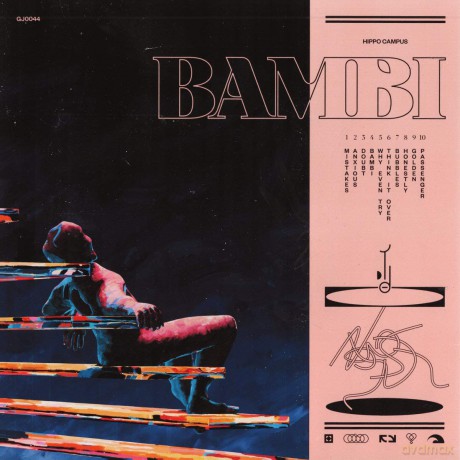 Hippo Campus: Bambi [Winyl]
