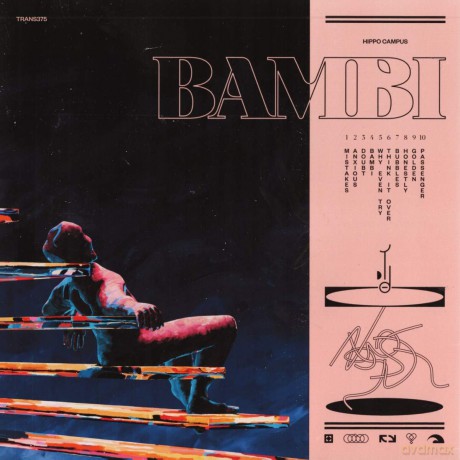 Hippo Campus: Bambi (digipack) [CD]