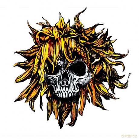 Sunflower Dead: Coma [CD]