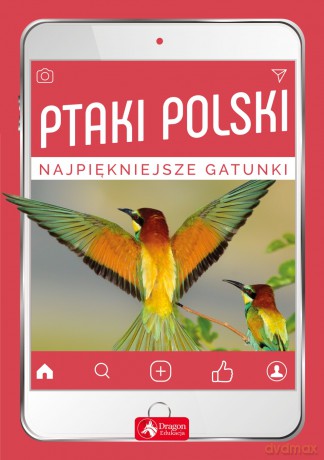 Ptaki Polski. Najpiękniejsze Gatunki - Anna Przybyłowicz, Łukasz Przybyłowicz [KSIĄŻKA]