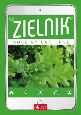 Zielnik. Rośliny Łąk i Pól [KSIĄŻKA]