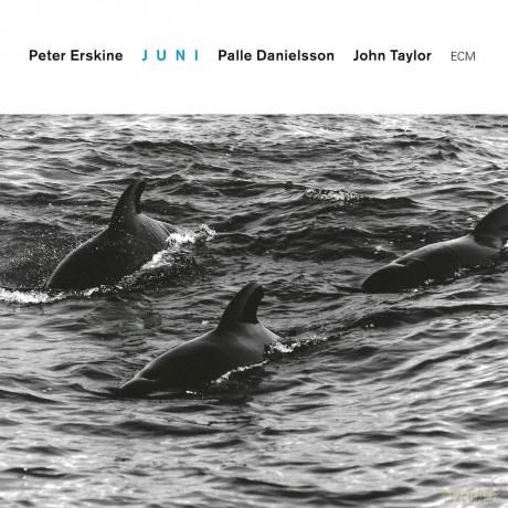 Peter Erskine Trio: Touchstones: Juni [CD]