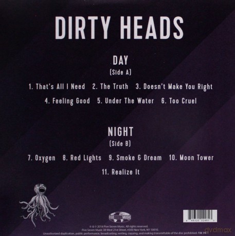 Dirty Heads: Dirty Heads [Winyl]