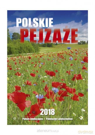 Kalendarz 2018 Wieloplanszowy Polskie Pejzaże [KALENDARZ]