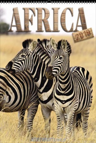 Kalendarz 2019 Wieloplanszowy Africa [KALENDARZ]
