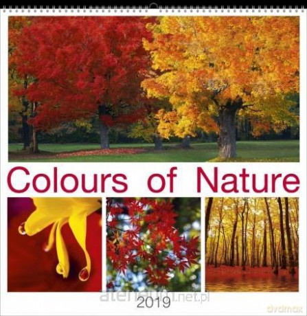 Kalendarz 2019 Wieloplanszowy Colours of Nature [KALENDARZ]
