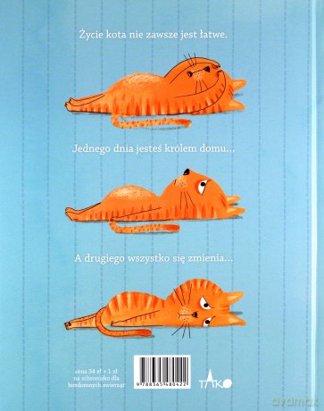 Król kot [KSIĄŻKA]