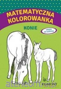 Matematyczna kolorowanka z konikami [KSIĄŻKA]