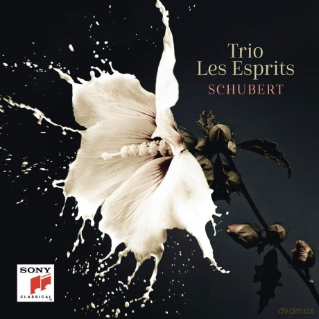 Trio Les Esprits: Schubert [2CD]