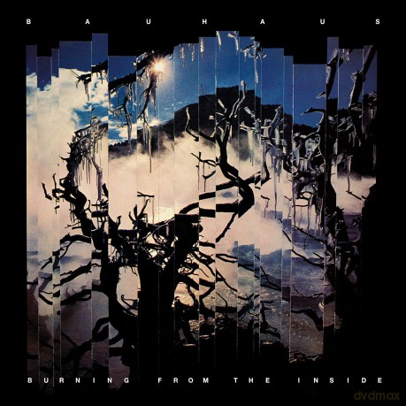 Bauhaus: Burning From The Inside Remastered [Winyl]