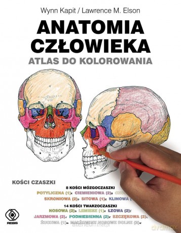 Anatomia człowieka. Atlas do kolorowania - Wynn Kapit, Lawrence M. Elson [KSIĄŻKA]