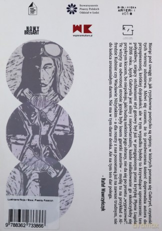 Lustzane fikcje - Juliusz Gabryel [KSIĄŻKA]