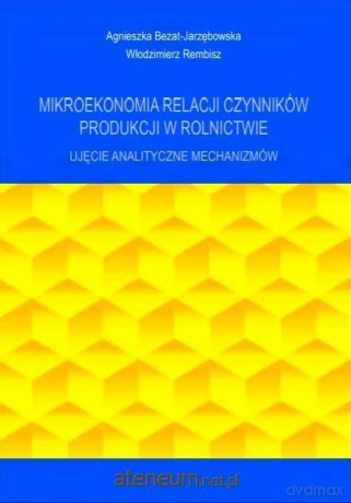 Mikroekonomia relacji czynników produkcji - Agnieszka Bezat-Jarzębowska, Włodzimierz Rembisz [KSIĄŻKA]