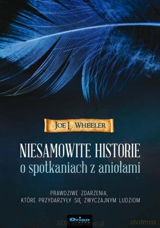 Niesamowite historie o spotkaniach z aniołami - Joe L. Wheeler [KSIĄŻKA]