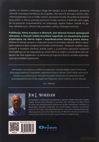 Niesamowite historie o spotkaniach z aniołami - Joe L. Wheeler [KSIĄŻKA]