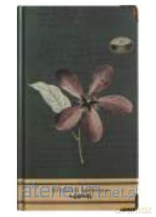 Notes H5/96K Hibiskus