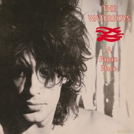 The Waterboys: A Pagan Place [CD]
