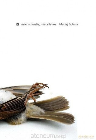 Wsie, animalia, miscellanea - Maciej Bobula [KSIĄŻKA]