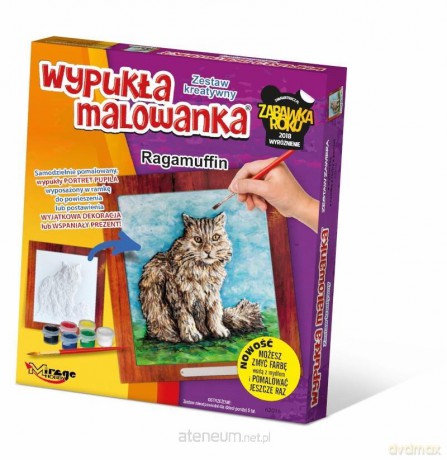 Wypukła Malowanka - Kot Ragamuffin