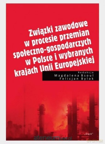 Związki zawodowe w procesie przemian społeczno-gospodarczych - Magdalena Bsoul [KSIĄŻKA]