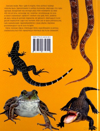 Zwierzęta świata. Płazy i gady [KSIĄŻKA]