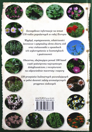Zioła. Nowa encyklopedia - Paola Mancini, Barbara Polettini [KSIĄŻKA]