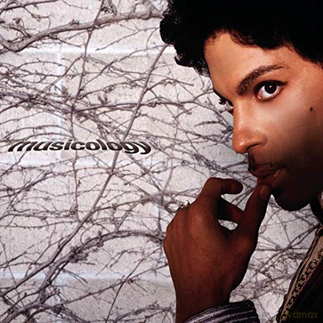 Prince: Musicology [CD]