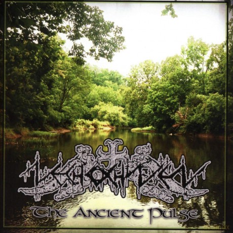 Nechochwen: The Ancient Pulse [CD]