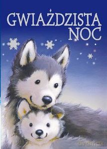 Gwiaździsta noc [KSIĄŻKA]