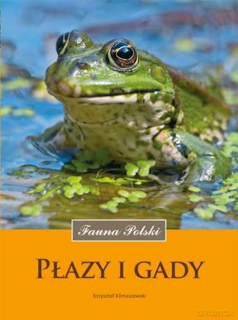 Płazy i gady. Fauna Polski - Krzysztof Klimaszewski [KSIĄŻKA]