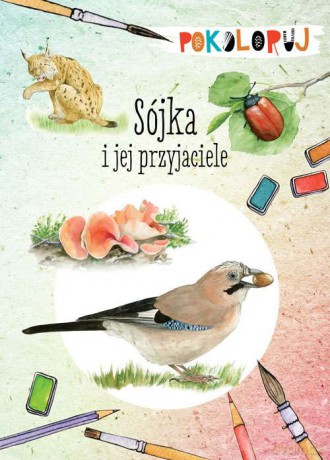 Sójka i jej przyjaciele - Katarzyna Kopiec-Sekieta [KSIĄŻKA]