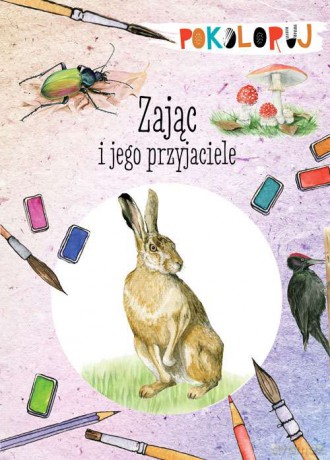 Zając i jego przyjaciele - Katarzyna Kopiec-Sekieta [KSIĄŻKA]