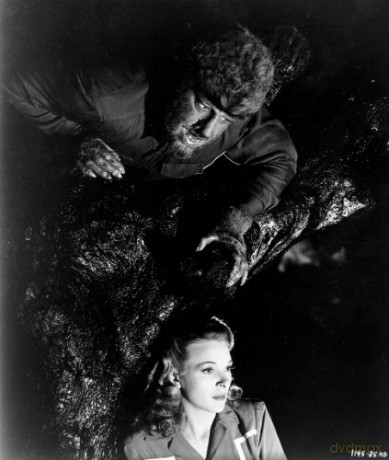 Monsters Collection: Dracula / Frankenstein / The Mummy / The Invisible Man / Bride of Frankenstein / The Wolf Man / Phantom of the Opera / Creature from the Black Lagoon [8xBlu-Ray]