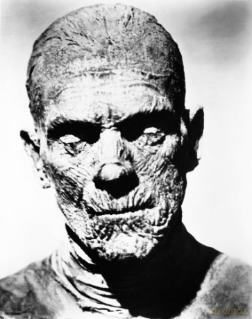 Monsters Collection: Dracula / Frankenstein / The Mummy / The Invisible Man / Bride of Frankenstein / The Wolf Man / Phantom of the Opera / Creature from the Black Lagoon [8xBlu-Ray]