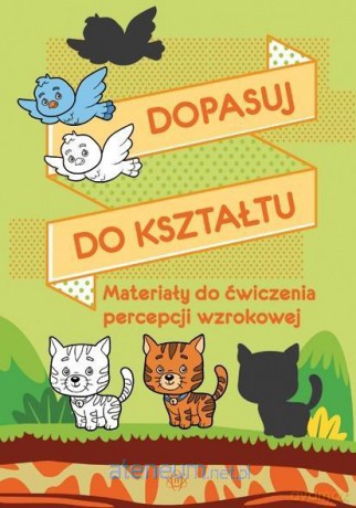 Dopasuj do kształtu [KSIĄŻKA]