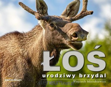 Łoś - urodziwy brzydal - Wojciech Misiukiewicz [KSIĄŻKA]