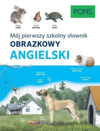 Mój pierwszy szkolny słownik obrazkowy angielski [KSIĄŻKA]