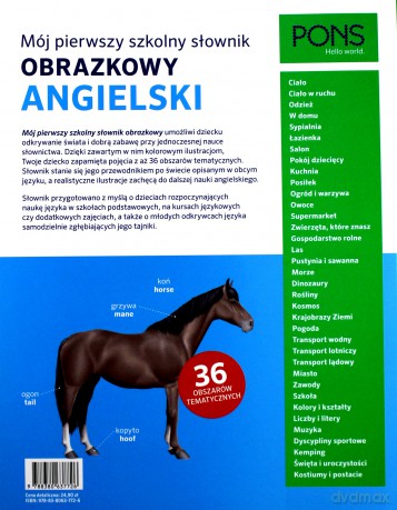 Mój pierwszy szkolny słownik obrazkowy angielski [KSIĄŻKA]