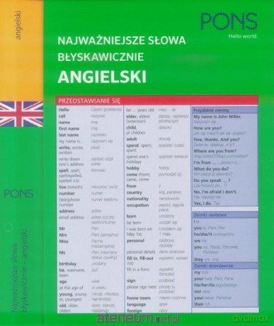 Najważniejsze słowa błyskawicznie. Angielski [KSIĄŻKA]