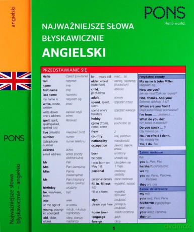 Najważniejsze słowa błyskawicznie. Angielski [KSIĄŻKA]