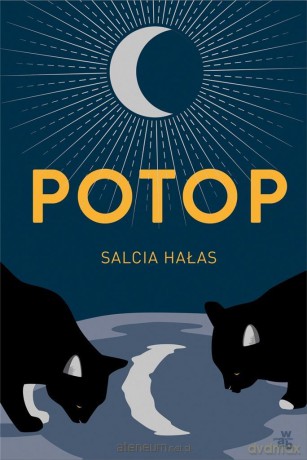Potop - Salcia Hałas [KSIĄŻKA]