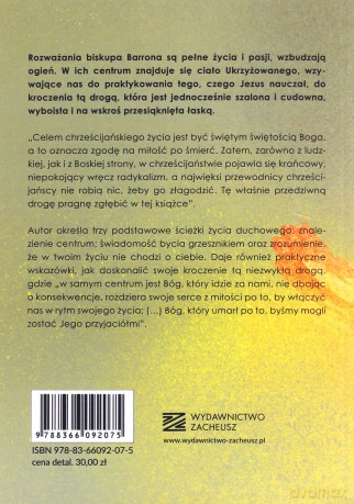 Przedziwna droga - Bp Robert Barron [KSIĄŻKA]