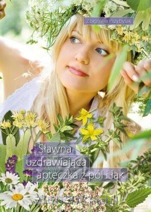 Sławna uzdrawiająca apteczka z pól i łąk - Zbigniew Przybylak [KSIĄŻKA]