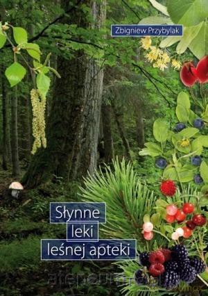 Słynne leki leśnej apteki - Zbigniew Przybylak [KSIĄŻKA]