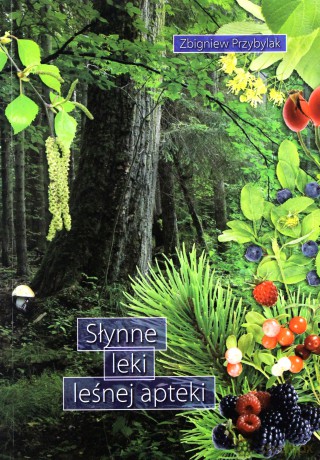 Słynne leki leśnej apteki - Zbigniew Przybylak [KSIĄŻKA]